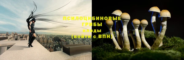 таблы Абинск