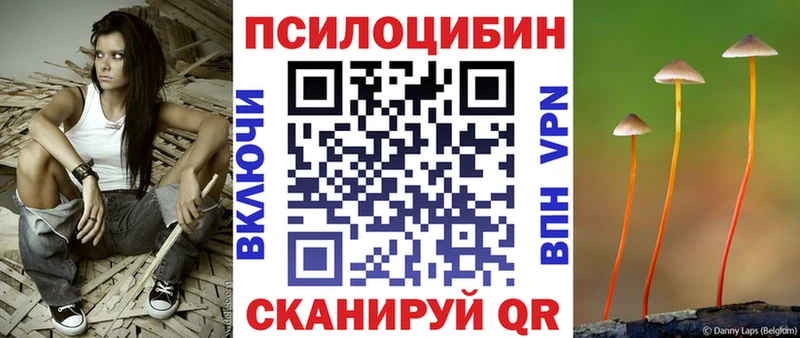 хочу   Кяхта  Галлюциногенные грибы Psilocybe 
