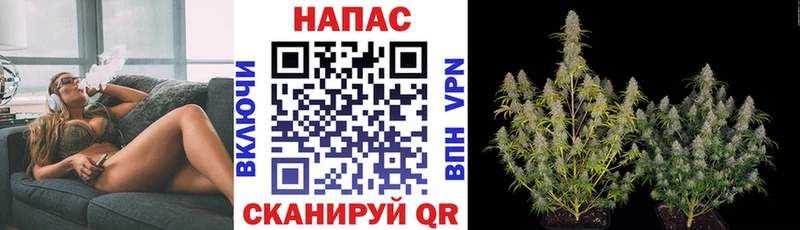 Марихуана ГИДРОПОН Кяхта